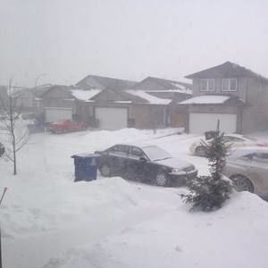 Meet your Posher, Ann